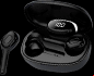 beacon pet bluetooth  translation earbuds