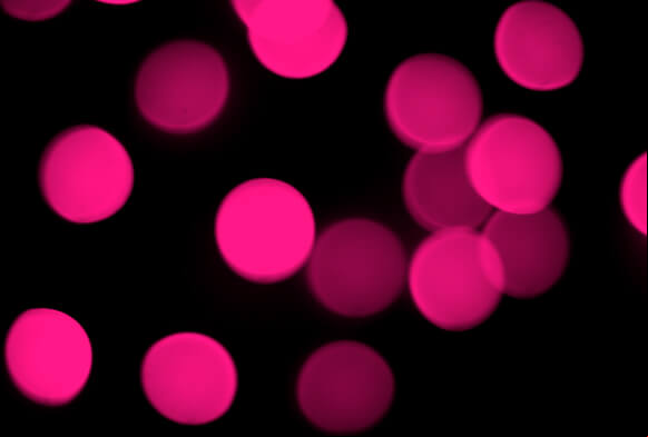 pack photoshop de superposition de bokeh