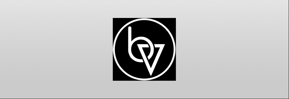 brand vision marketing agency logo