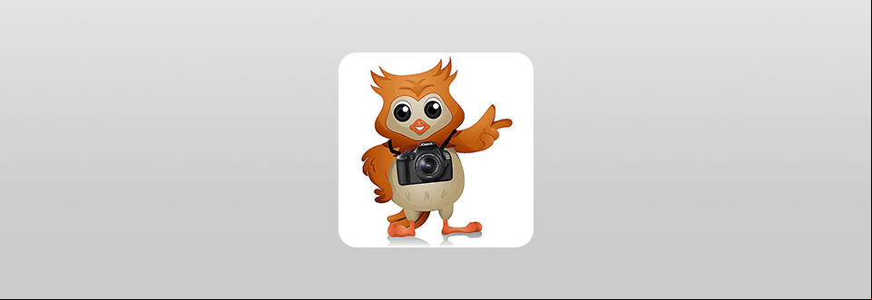 camerawize logo