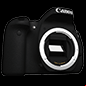 canon eos 90d wildlife camera