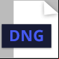 dng logo