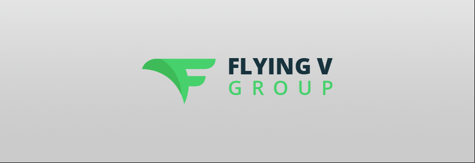 flying v group logo