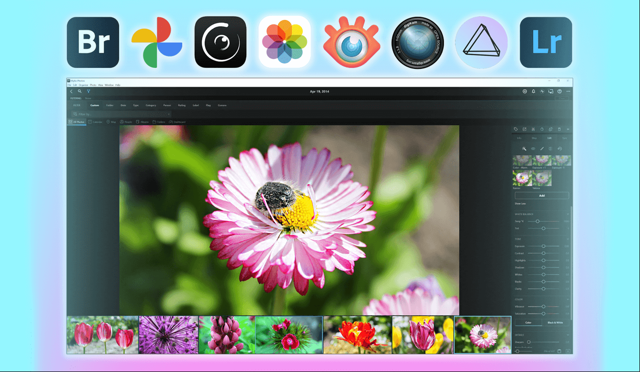 mylio photos alternatives