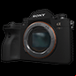 sony alpha a9 ii wildlife camera