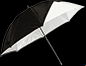 westcott photography umbrella model